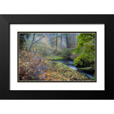 Snow in Fall Black Modern Wood Framed Art Print with Double Matting by Oldford, Tim
