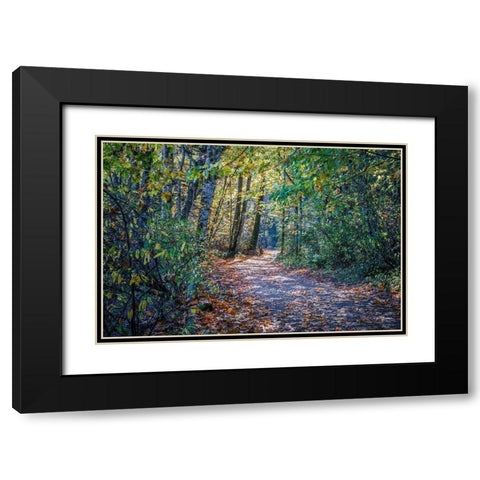 Fall Colours Black Modern Wood Framed Art Print with Double Matting by Oldford, Tim