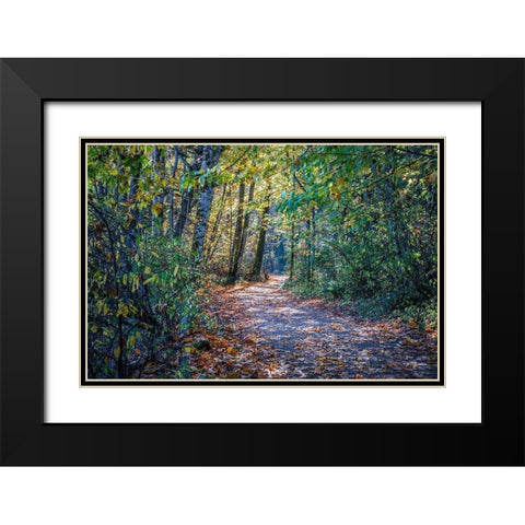 Fall Colours Black Modern Wood Framed Art Print with Double Matting by Oldford, Tim