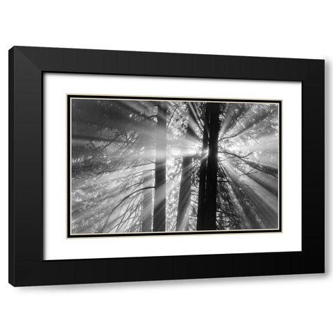 Rays Black Modern Wood Framed Art Print with Double Matting by Oldford, Tim