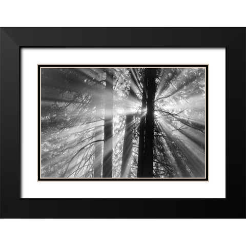 Rays Black Modern Wood Framed Art Print with Double Matting by Oldford, Tim
