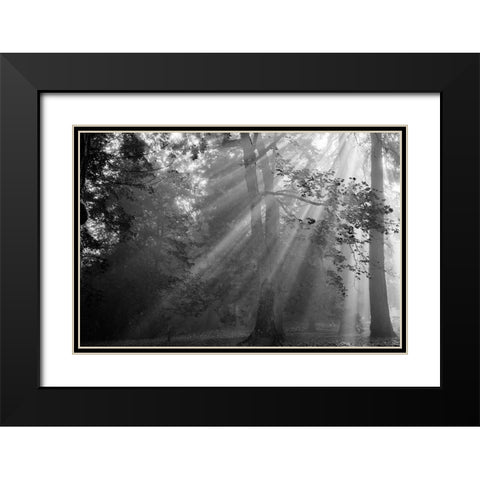 In a Haze Black Modern Wood Framed Art Print with Double Matting by Oldford, Tim