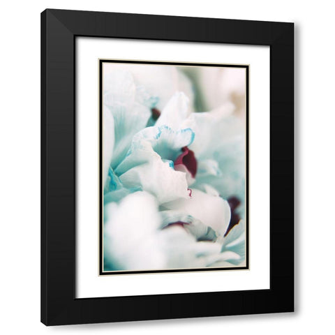 Paris Petals 2 Black Modern Wood Framed Art Print with Double Matting by Okula, Carina