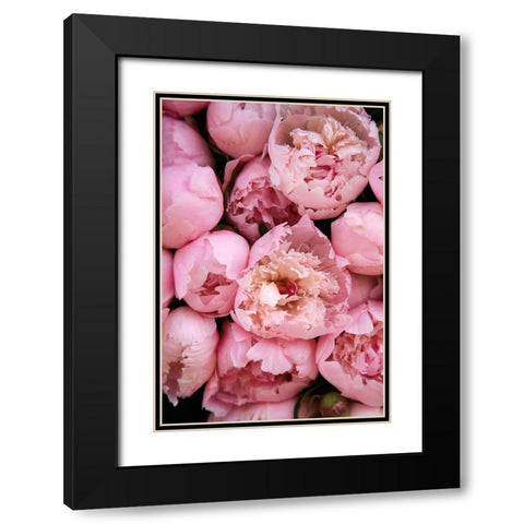 Peony 4 Black Modern Wood Framed Art Print with Double Matting by Okula, Carina