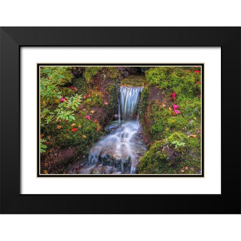 Tranquility Falls Black Modern Wood Framed Art Print with Double Matting by Oldford, Tim