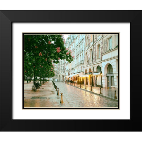 Paris in Chesnut Blossom Pink Black Modern Wood Framed Art Print with Double Matting by Okula, Carina