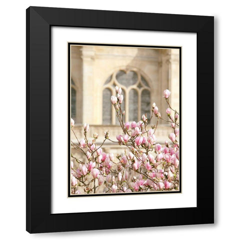Spring Magnolias In Paris Black Modern Wood Framed Art Print with Double Matting by Okula, Carina
