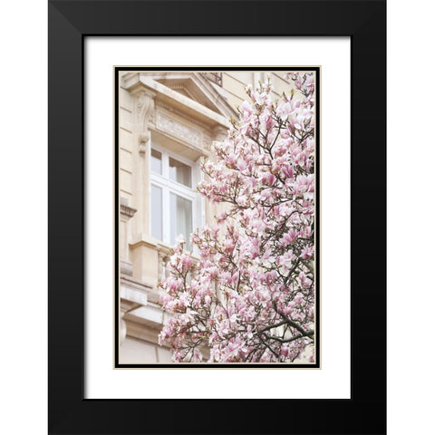 Pink Spring Magnolias in Paris Black Modern Wood Framed Art Print with Double Matting by Okula, Carina