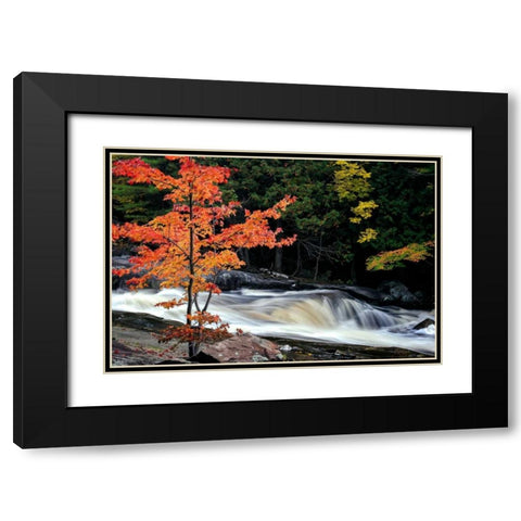 Autumn, Lower Rosseau Falls Black Modern Wood Framed Art Print with Double Matting by Pollard, David W.