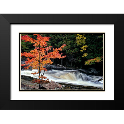 Autumn, Lower Rosseau Falls Black Modern Wood Framed Art Print with Double Matting by Pollard, David W.