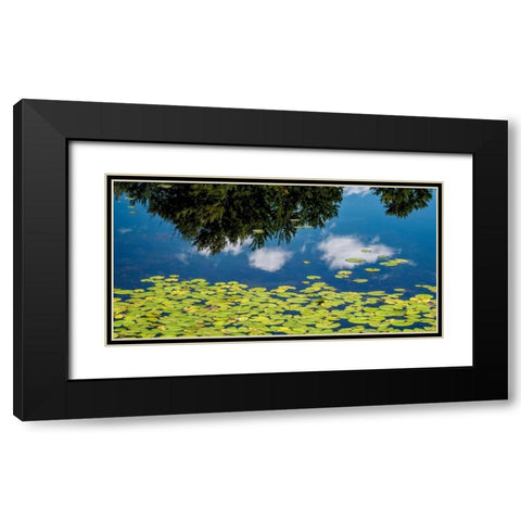 Water Lilies and Reflection Black Modern Wood Framed Art Print with Double Matting by Pollard, David W.