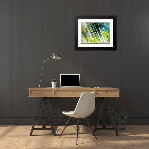 Evergreen No. 6 Black Modern Wood Framed Art Print with Double Matting by Pfrommer, Sven