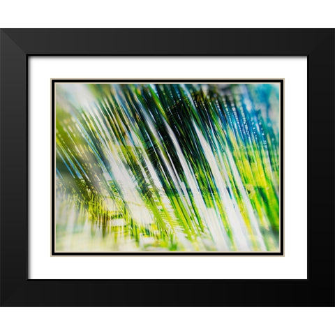 Evergreen No. 6 Black Modern Wood Framed Art Print with Double Matting by Pfrommer, Sven