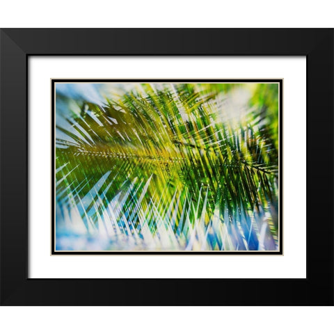 Evergreen No. 9 Black Modern Wood Framed Art Print with Double Matting by Pfrommer, Sven