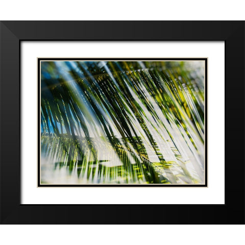 Evergreen No. 10 Black Modern Wood Framed Art Print with Double Matting by Pfrommer, Sven