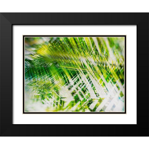 Evergreen No. 11 Black Modern Wood Framed Art Print with Double Matting by Pfrommer, Sven
