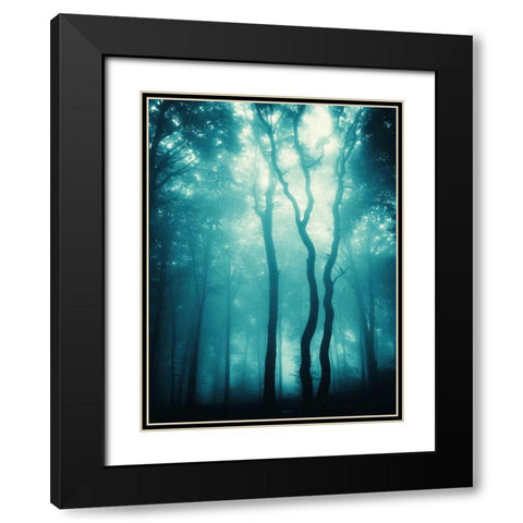 Blue Light Woods Black Modern Wood Framed Art Print with Double Matting by PhotoINC Studio