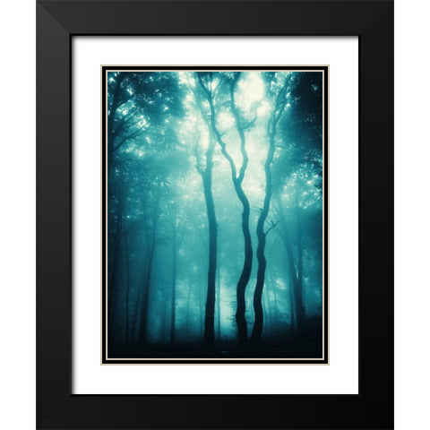 Blue Light Woods Black Modern Wood Framed Art Print with Double Matting by PhotoINC Studio