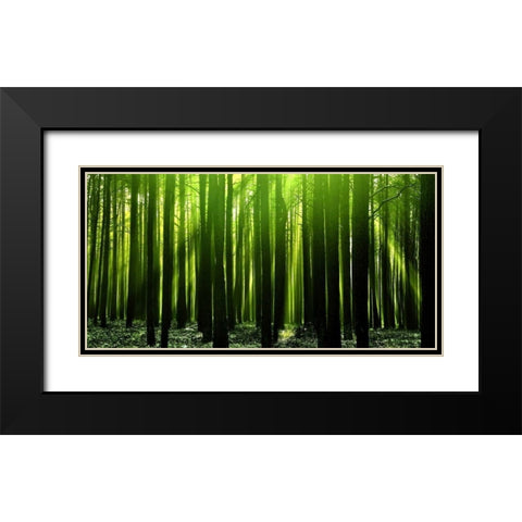 Green Woods 3 Black Modern Wood Framed Art Print with Double Matting by PhotoINC Studio