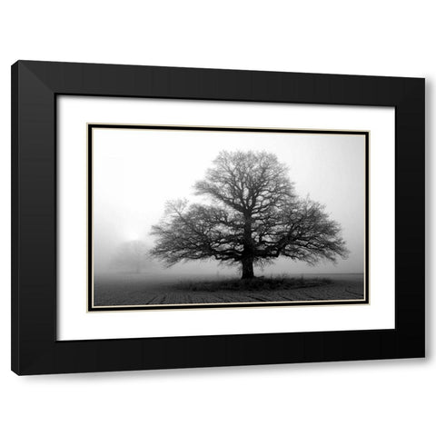 Tree in Mist 2 Black Modern Wood Framed Art Print with Double Matting by PhotoINC Studio