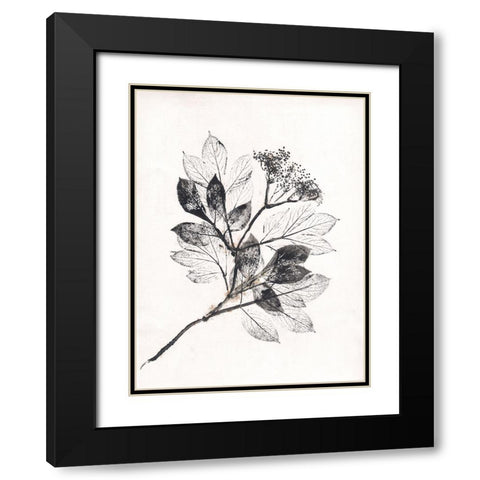 Elder BW Black Modern Wood Framed Art Print with Double Matting by Folcarelli, Pernille