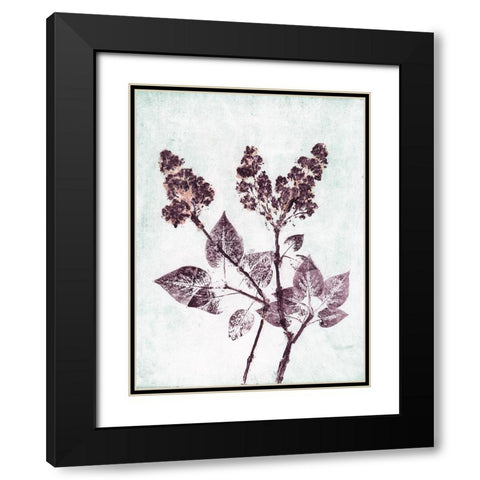 Lilac 1 Aqua Plum Black Modern Wood Framed Art Print with Double Matting by Folcarelli, Pernille