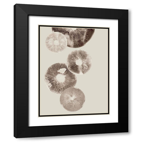 Mushroom 6 Light Brown Black Modern Wood Framed Art Print with Double Matting by Folcarelli, Pernille