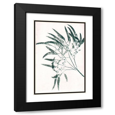 Eucalyptus 2 Green Black Modern Wood Framed Art Print with Double Matting by Folcarelli, Pernille