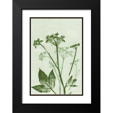 Ground Elder Green Black Modern Wood Framed Art Print with Double Matting by Folcarelli, Pernille