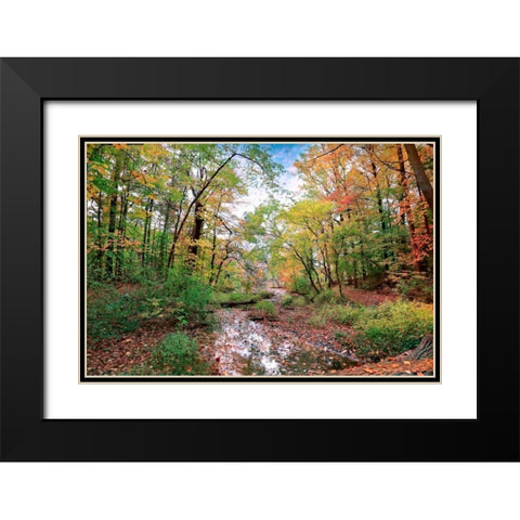 Autumn at Hopkins Pond Black Modern Wood Framed Art Print with Double Matting by Rivera, John