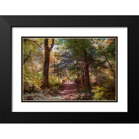 Berlin Park Black Modern Wood Framed Art Print with Double Matting by Rivera, John