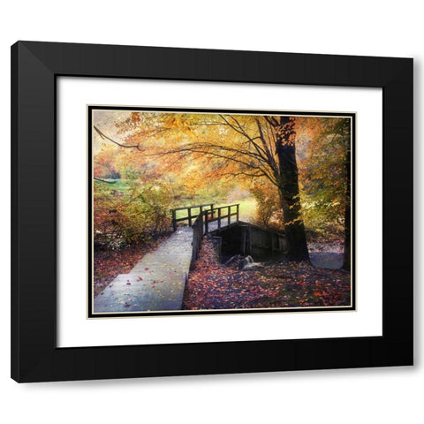 Foot Bridge Black Modern Wood Framed Art Print with Double Matting by Rivera, John
