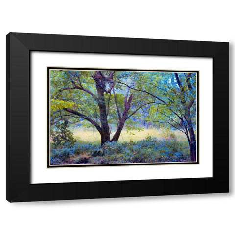 Forgotten Day Dreams Black Modern Wood Framed Art Print with Double Matting by Rivera, John
