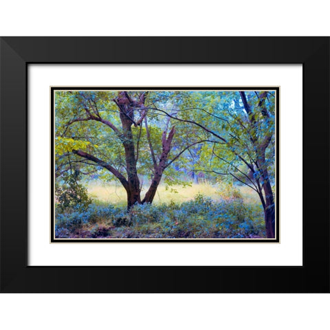 Forgotten Day Dreams Black Modern Wood Framed Art Print with Double Matting by Rivera, John