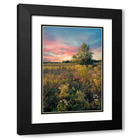 Grateful for The Day Black Modern Wood Framed Art Print with Double Matting by Rivera, John