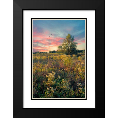 Grateful for The Day Black Modern Wood Framed Art Print with Double Matting by Rivera, John