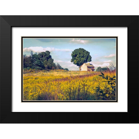 House on a Hill Black Modern Wood Framed Art Print with Double Matting by Rivera, John