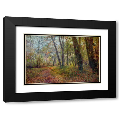 Poetic Season Black Modern Wood Framed Art Print with Double Matting by Rivera, John