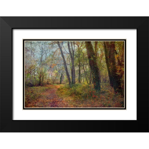 Poetic Season Black Modern Wood Framed Art Print with Double Matting by Rivera, John