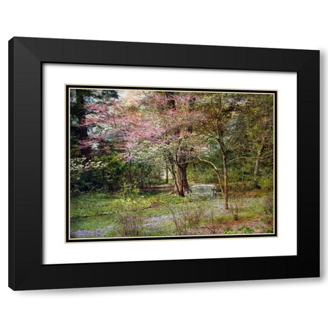Spring Black Modern Wood Framed Art Print with Double Matting by Rivera, John