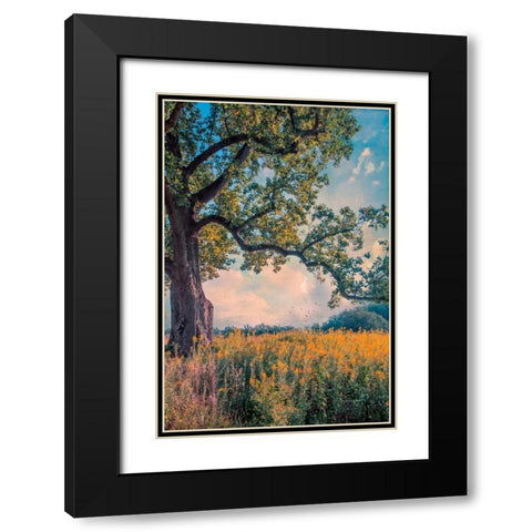 Where I Daydream Black Modern Wood Framed Art Print with Double Matting by Rivera, John