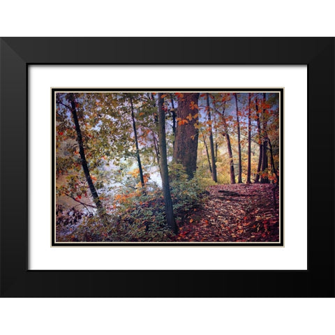 Season of Colors Black Modern Wood Framed Art Print with Double Matting by Rivera, John