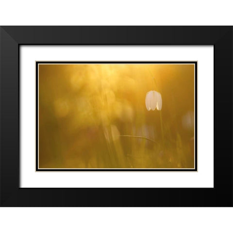 Golden Black Modern Wood Framed Art Print with Double Matting by Raimond, Roeselien