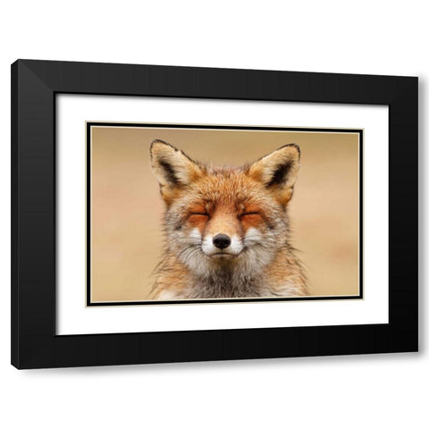 Zen Fox Red Portrait Black Modern Wood Framed Art Print with Double Matting by Raimond, Roeselien