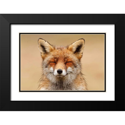 Zen Fox Red Portrait Black Modern Wood Framed Art Print with Double Matting by Raimond, Roeselien