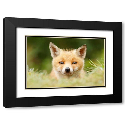 Bad Fur Day Black Modern Wood Framed Art Print with Double Matting by Raimond, Roeselien