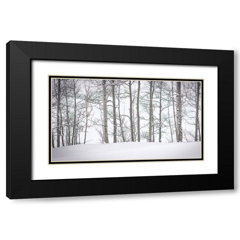 Behind Cloister Doors Black Modern Wood Framed Art Print with Double Matting by Rogers, Eunika