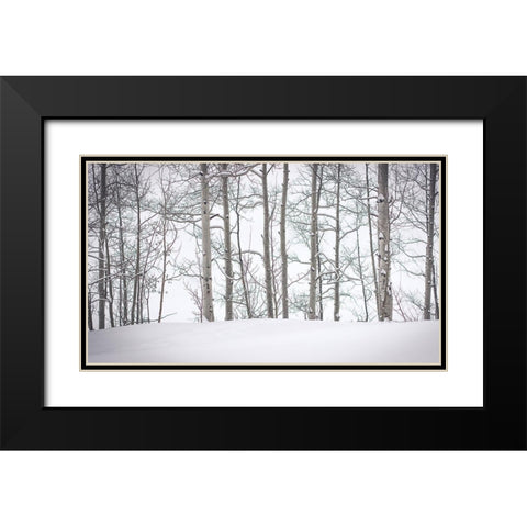 Behind Cloister Doors Black Modern Wood Framed Art Print with Double Matting by Rogers, Eunika