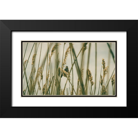 Even The Skies Have Limits Black Modern Wood Framed Art Print with Double Matting by Rogers, Eunika