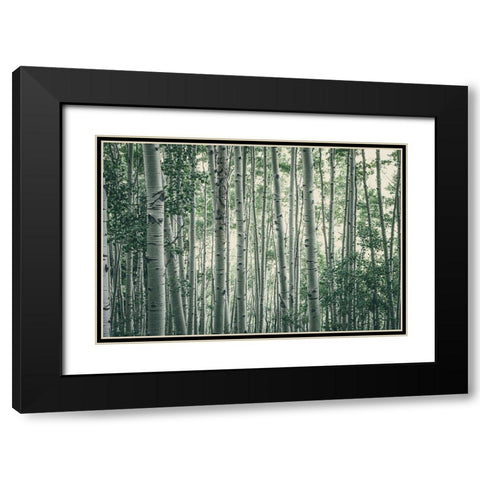 Obscured By Alters Black Modern Wood Framed Art Print with Double Matting by Rogers, Eunika